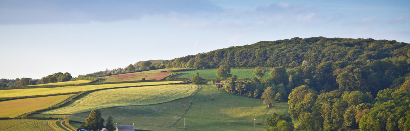 What Should You Do with Inherited Land?