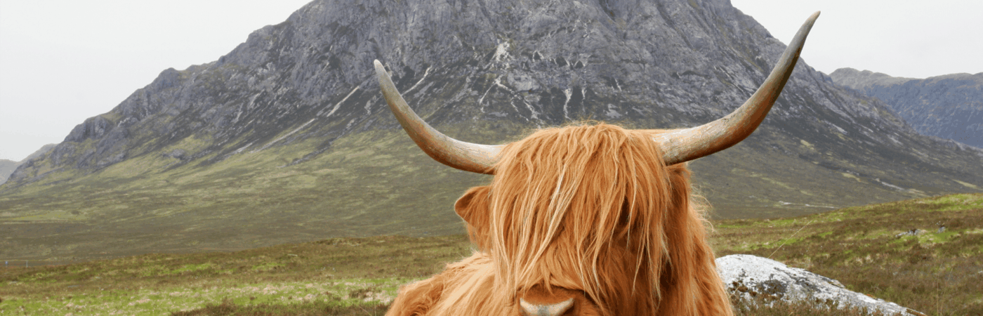 sell your house fast in scotland