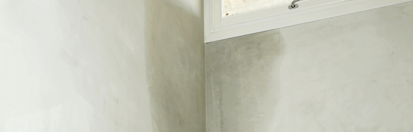 damp house